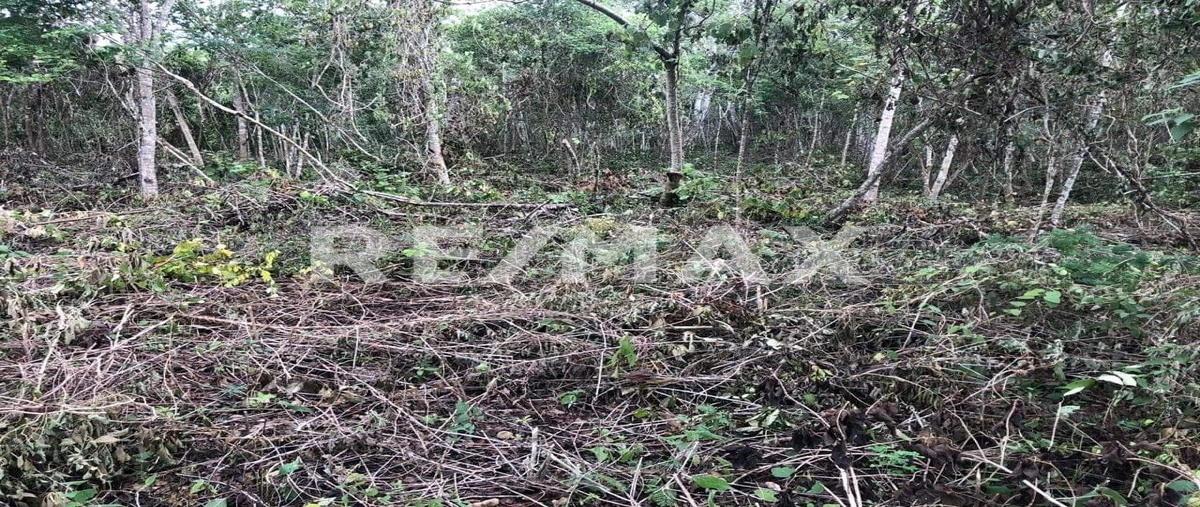 Foto de terreno habitacional en venta en avenida rubi , ciudad maya, berriozábal, chiapas, 0 No. 04