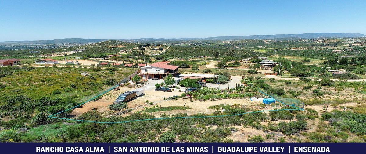Foto de casa en venta en avenida san antonio de las minas , san antonio de las minas, ensenada, baja california, 28432616 No. 01