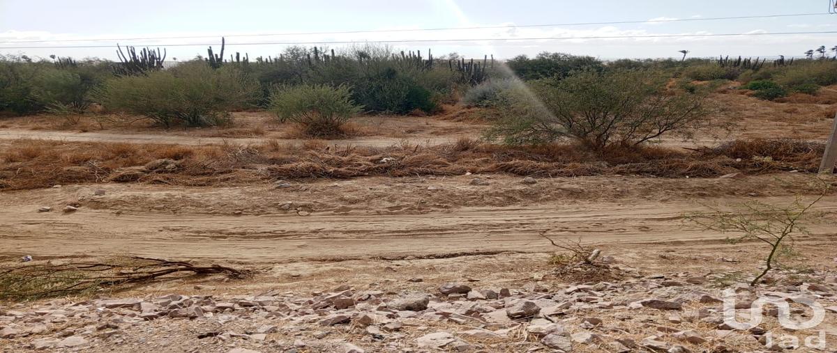 Foto de terreno comercial en avenida santa ana , las américas, la paz, baja california sur, 28885339 foto 03 Foto de terreno comercial en venta en avenida santa ana , las américas, la paz, baja california sur, 28885339 No. 03