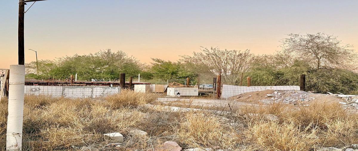 Foto de terreno habitacional en avenida santa ana , los bledales (la ceibita), la paz, baja california sur, 0 foto 05 Foto de terreno habitacional en venta en avenida santa ana , los bledales (la ceibita), la paz, baja california sur, 0 No. 05