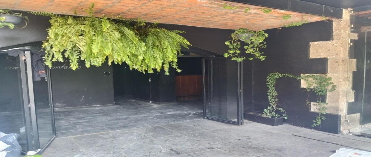 Foto de local en avenida santa catarina , san angel inn, álvaro obregón, df / cdmx, 30442245 foto 04 Foto de local en renta en avenida santa catarina , san angel inn, álvaro obregón, df / cdmx, 30442245 No. 04