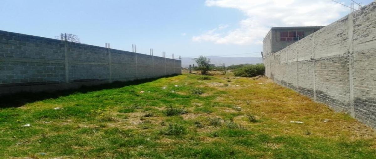 Foto de terreno habitacional en venta en avenida santa cruz 0, san sebastián, chalco, méxico, 8871704 No. 05