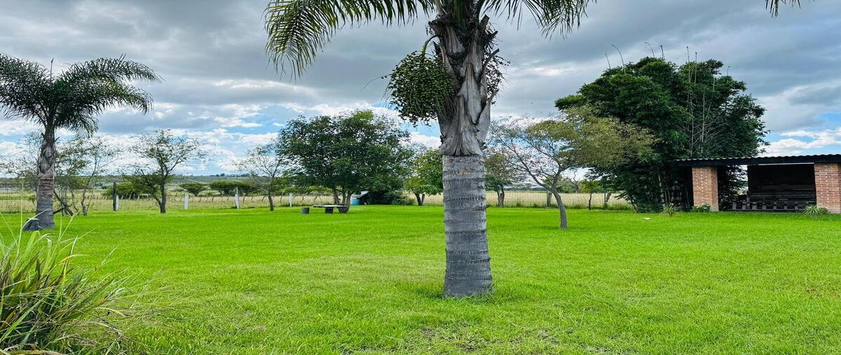 Foto de terreno comercial en avenida santa lucia , santa lucia, zapopan, jalisco, 30401999 foto 02 Foto de terreno comercial en venta en avenida santa lucia , santa lucia, zapopan, jalisco, 30401999 No. 02