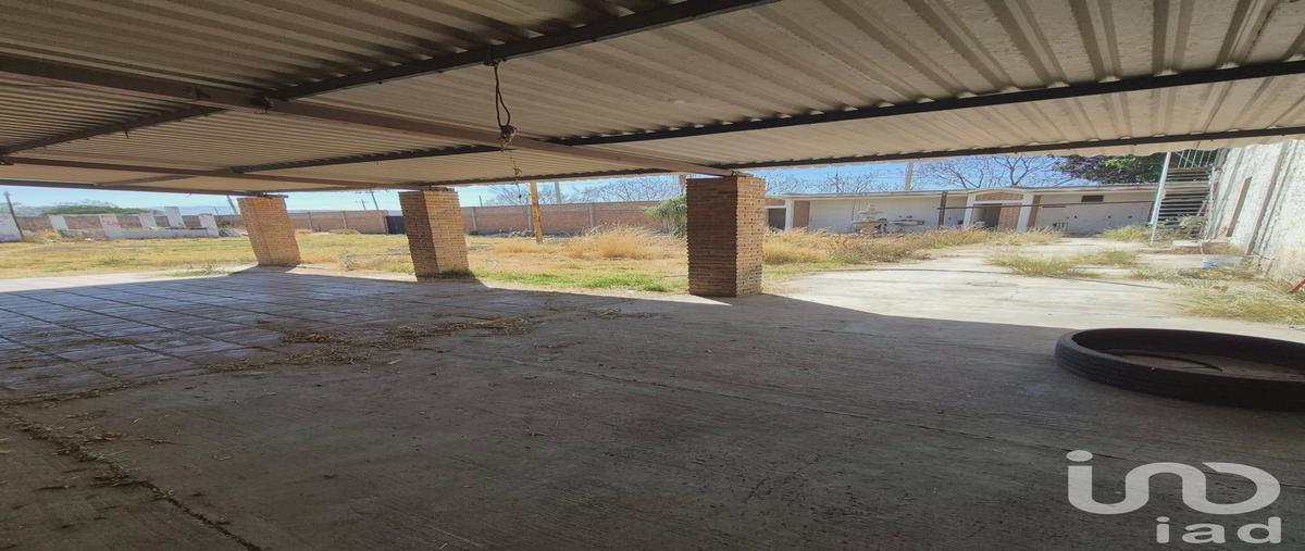Foto de bodega en avenida sendero a la capilla 77, ixtlahuacan de los membrillos, ixtlahuacán de los membrillos, jalisco, 31112867 foto 04 Foto de bodega en venta en avenida sendero a la capilla 77, ixtlahuacan de los membrillos, ixtlahuacán de los membrillos, jalisco, 31112867 No. 04