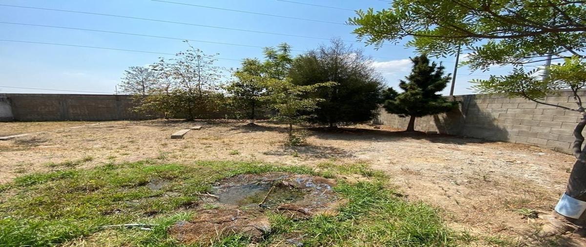 Foto de terreno habitacional en avenida sendero coto lugano , diana nature residencial, zapopan, jalisco, 27576234 foto 03 Foto de terreno habitacional en venta en avenida sendero coto lugano , diana nature residencial, zapopan, jalisco, 27576234 No. 03