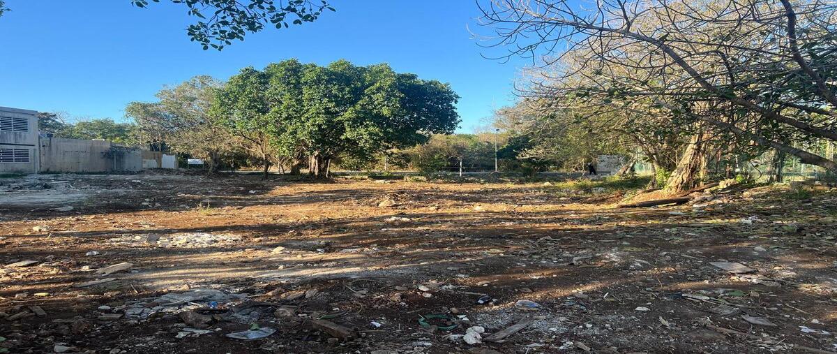 Foto de terreno habitacional en venta en avenida sian kaan , ejidal, solidaridad, quintana roo, 0 No. 03