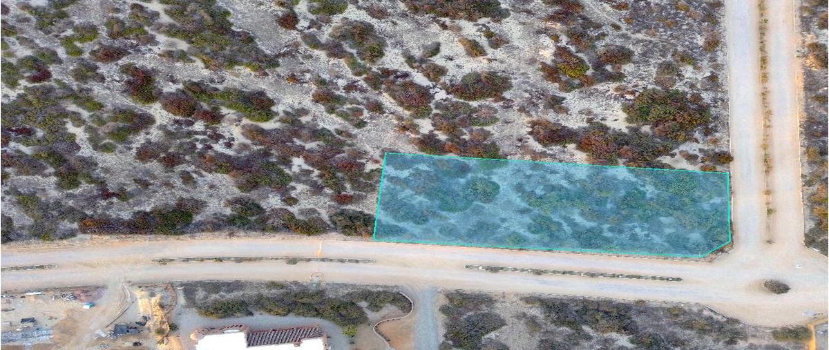 Foto de terreno habitacional en venta en avenida sierra vista , cabo pulmo, los cabos, baja california sur, 0 No. 03