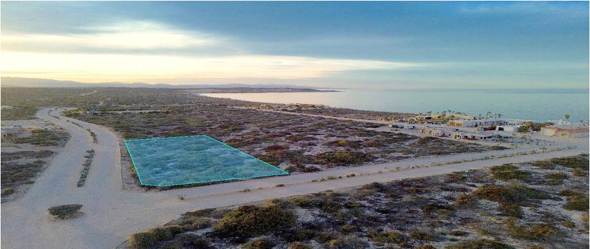 Foto de terreno habitacional en venta en avenida sierra vista , cabo pulmo, los cabos, baja california sur, 0 No. 04
