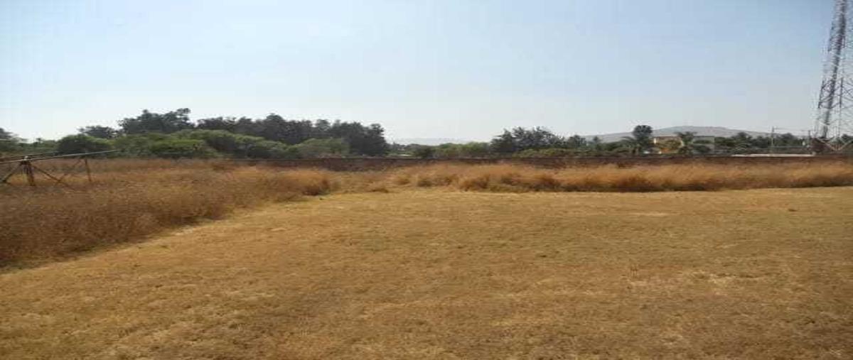 Foto de terreno habitacional en venta en avenida solidaridad , las pintas, el salto, jalisco, 0 No. 02