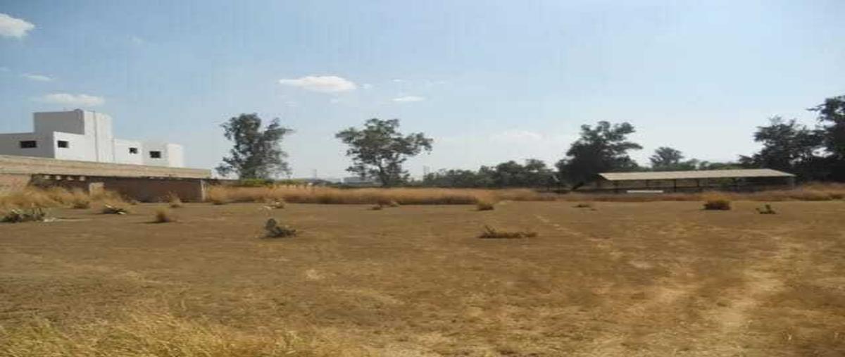 Foto de terreno habitacional en venta en avenida solidaridad , las pintas, el salto, jalisco, 0 No. 05