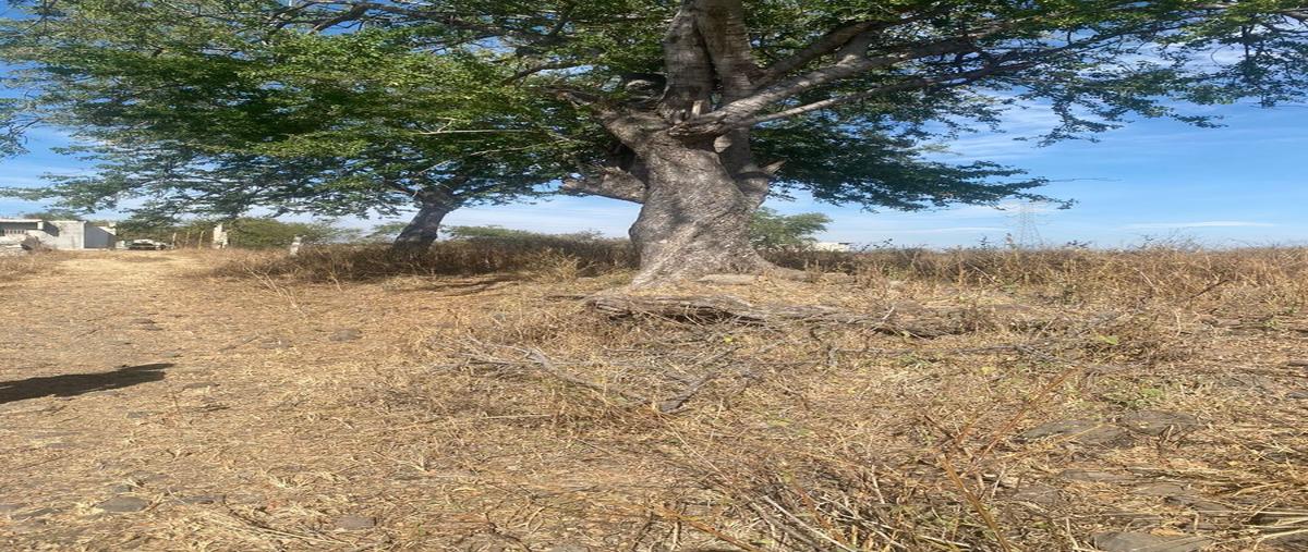Foto de terreno habitacional en avenida solidaridad , rancho nuevo, yautepec, morelos, 27664572 foto 01 Foto de terreno habitacional en venta en avenida solidaridad , rancho nuevo, yautepec, morelos, 27664572 No. 01