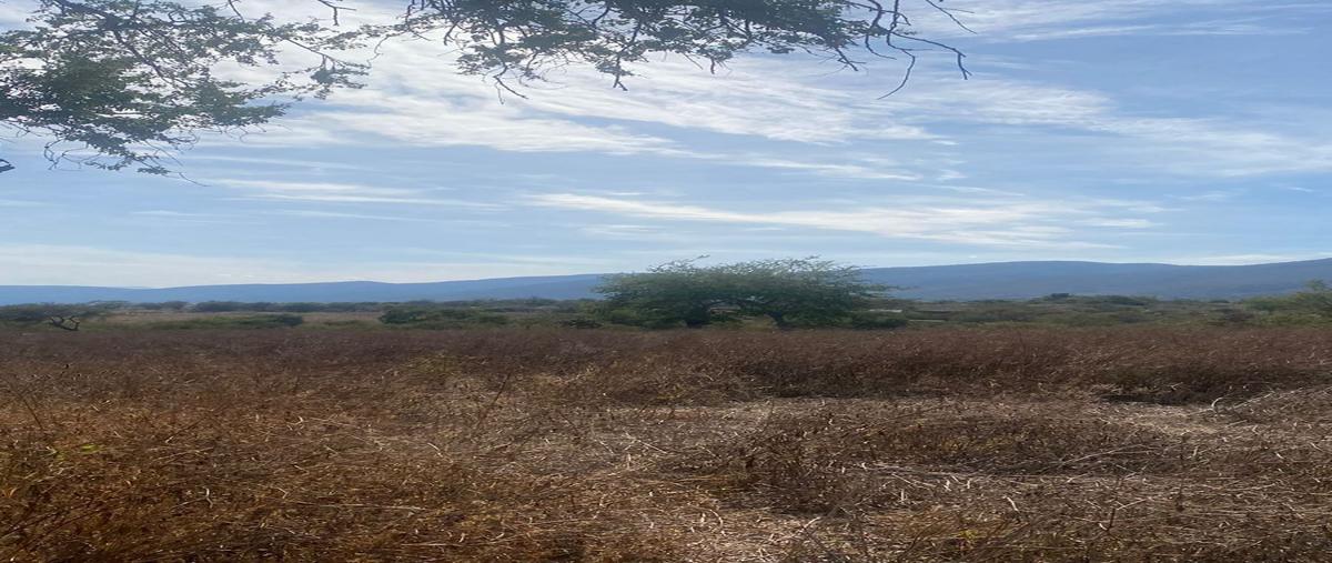 Foto de terreno habitacional en avenida solidaridad , rancho nuevo, yautepec, morelos, 27664572 foto 03 Foto de terreno habitacional en venta en avenida solidaridad , rancho nuevo, yautepec, morelos, 27664572 No. 03