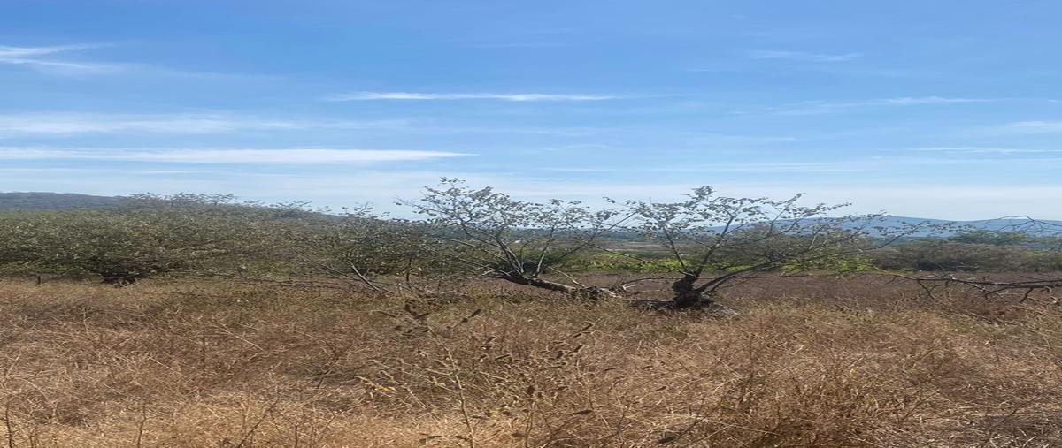 Foto de terreno habitacional en avenida solidaridad , rancho nuevo, yautepec, morelos, 27664572 foto 04 Foto de terreno habitacional en venta en avenida solidaridad , rancho nuevo, yautepec, morelos, 27664572 No. 04