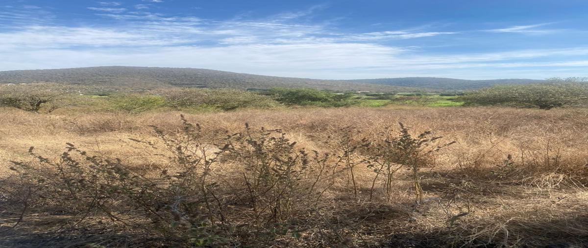 Foto de terreno habitacional en avenida solidaridad , rancho nuevo, yautepec, morelos, 27664572 foto 05 Foto de terreno habitacional en venta en avenida solidaridad , rancho nuevo, yautepec, morelos, 27664572 No. 05