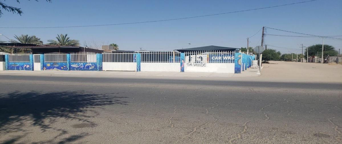 Foto de terreno habitacional en venta en avenida sonora , progreso, san luis río colorado, sonora, 0 No. 01