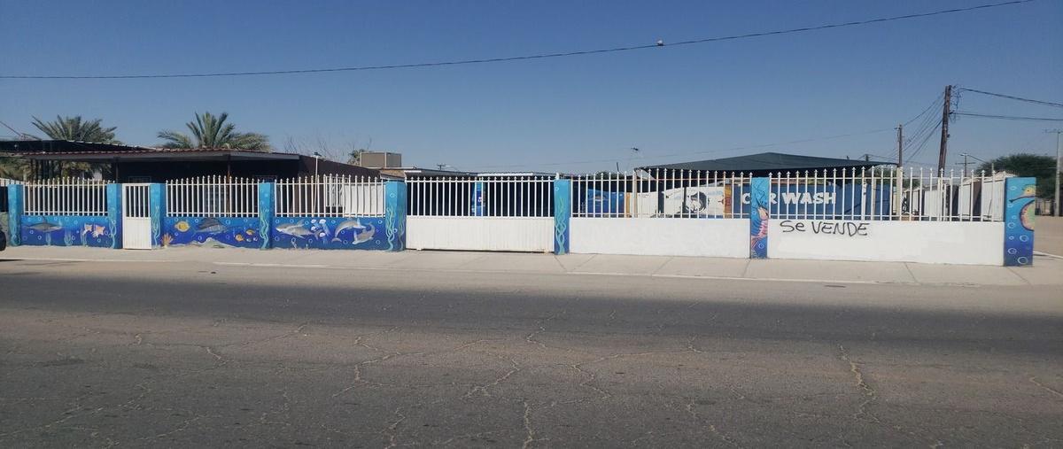 Foto de terreno habitacional en venta en avenida sonora , progreso, san luis río colorado, sonora, 0 No. 02