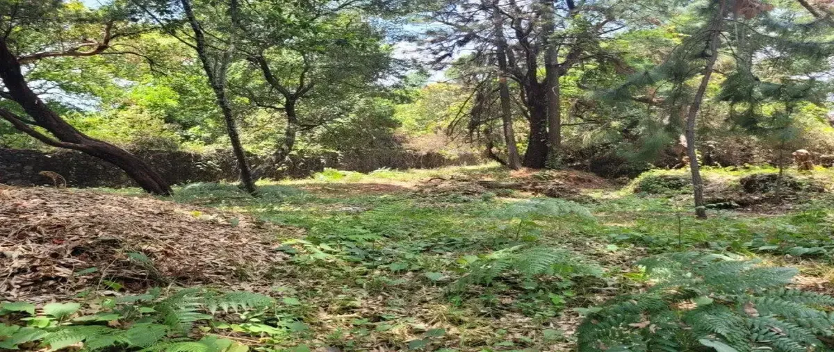Foto de terreno habitacional en venta en avenida subida a chalma ., del bosque, cuernavaca, morelos, 30359511 No. 03