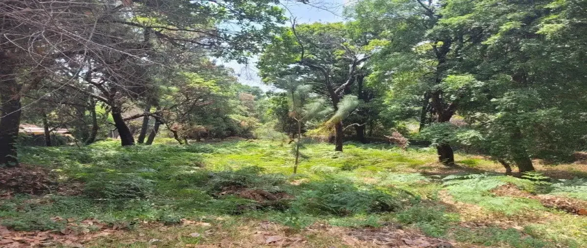 Foto de terreno habitacional en venta en avenida subida a chalma ., del bosque, cuernavaca, morelos, 30359511 No. 05