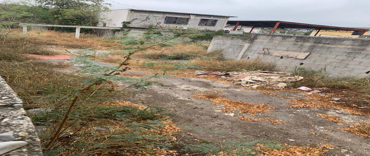 Foto de terreno comercial en venta en avenida sulaiman , mariano matamoros i, victoria, tamaulipas, 26199275 No. 05