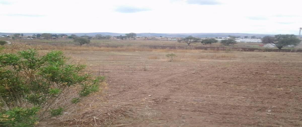 Foto de terreno industrial en venta en avenida tepeyac , san miguel el alto centro, san miguel el alto, jalisco, 17873409 No. 04