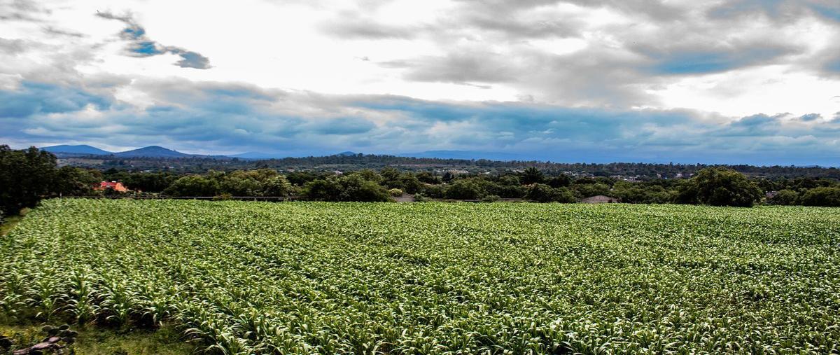 Foto de terreno habitacional en avenida tlaxcantla , tepetlaoxtoc de hidalgo, tepetlaoxtoc, méxico, 26914173 foto 04 Foto de terreno habitacional en venta en avenida tlaxcantla , tepetlaoxtoc de hidalgo, tepetlaoxtoc, méxico, 26914173 No. 04