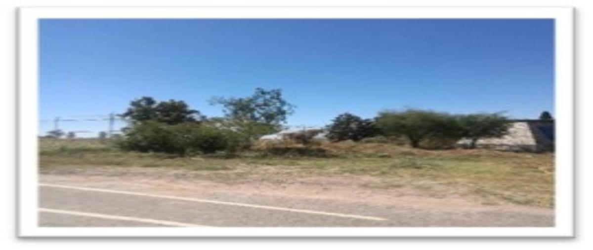 Foto de terreno industrial en avenida trigo , 2 de octubre, aguascalientes, aguascalientes, 27304271 foto 02 Foto de terreno industrial en venta en avenida trigo , 2 de octubre, aguascalientes, aguascalientes, 27304271 No. 02