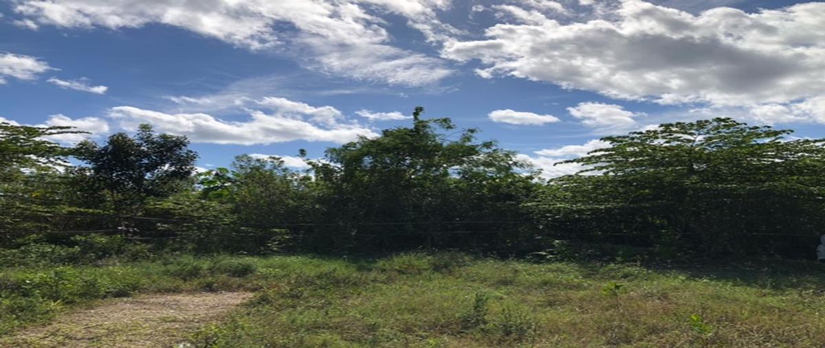 Foto de terreno habitacional en venta en avenida tulum , novo cancún, benito juárez, quintana roo, 0 No. 03