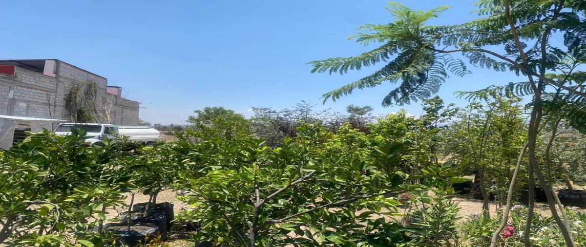 Foto de terreno comercial en venta en avenida universidad , granjas banthi, san juan del río, querétaro, 0 No. 05