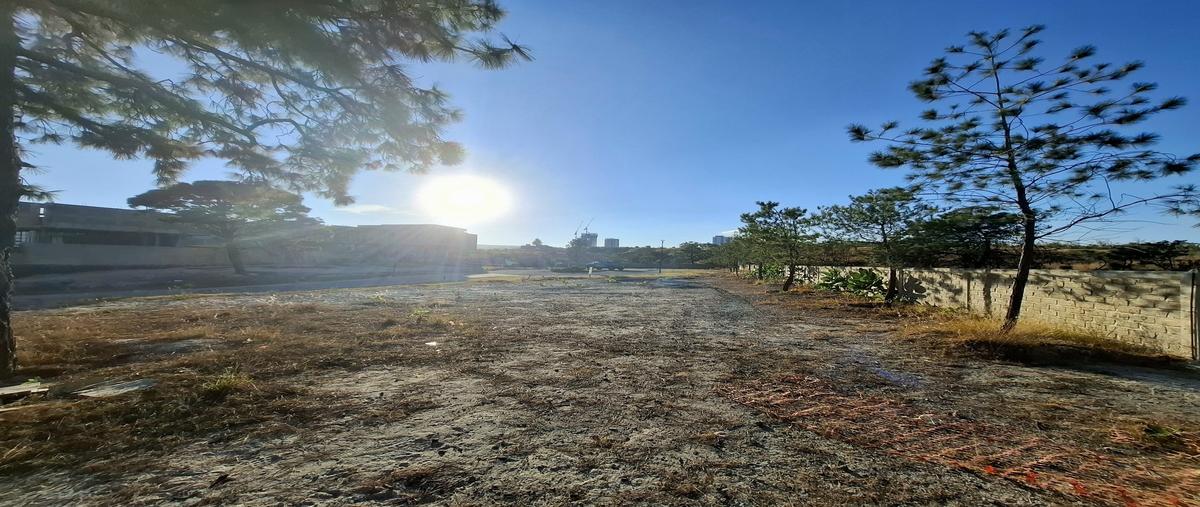 Foto de terreno habitacional en venta en avenida universidad , puerta las lomas, zapopan, jalisco, 28728288 No. 05