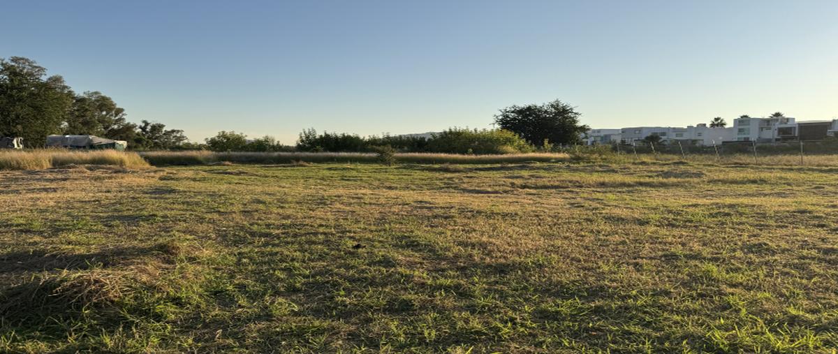 Foto de terreno industrial en renta en avenida universidad , san juan de ocotan, zapopan, jalisco, 31554271 No. 04