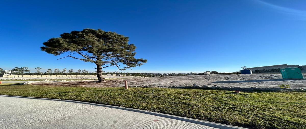 Foto de terreno habitacional en venta en avenida universidad , vallarta universidad, zapopan, jalisco, 25989063 No. 06