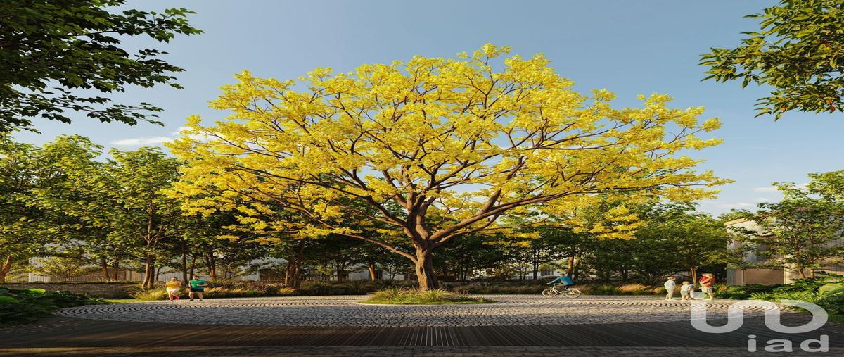 Foto de terreno habitacional en avenida universidad , vallarta universidad, zapopan, jalisco, 0 foto 02 Foto de terreno habitacional en venta en avenida universidad , vallarta universidad, zapopan, jalisco, 0 No. 02