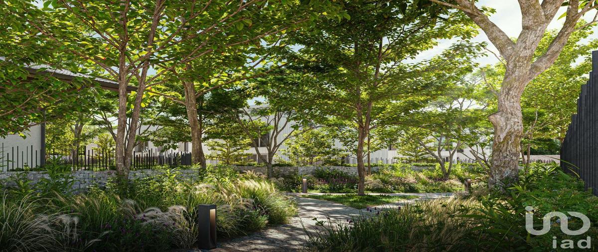 Foto de terreno habitacional en avenida universidad , vallarta universidad, zapopan, jalisco, 0 foto 04 Foto de terreno habitacional en venta en avenida universidad , vallarta universidad, zapopan, jalisco, 0 No. 04