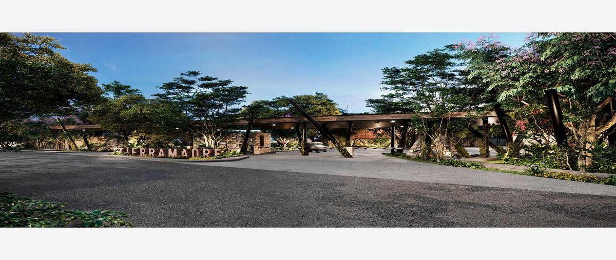 Foto de terreno habitacional en venta en avenida universidades 1000, los arrecifes, solidaridad, quintana roo, 0 No. 03