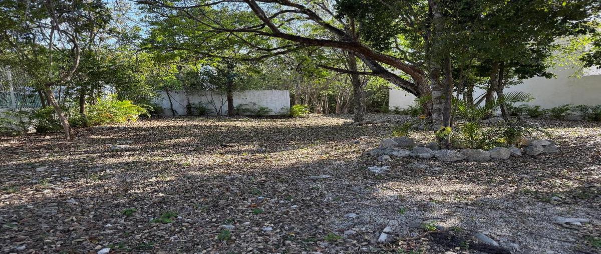 Foto de terreno habitacional en venta en avenida universidades lote 022, playa del carmen centro, solidaridad, quintana roo, 0 No. 03