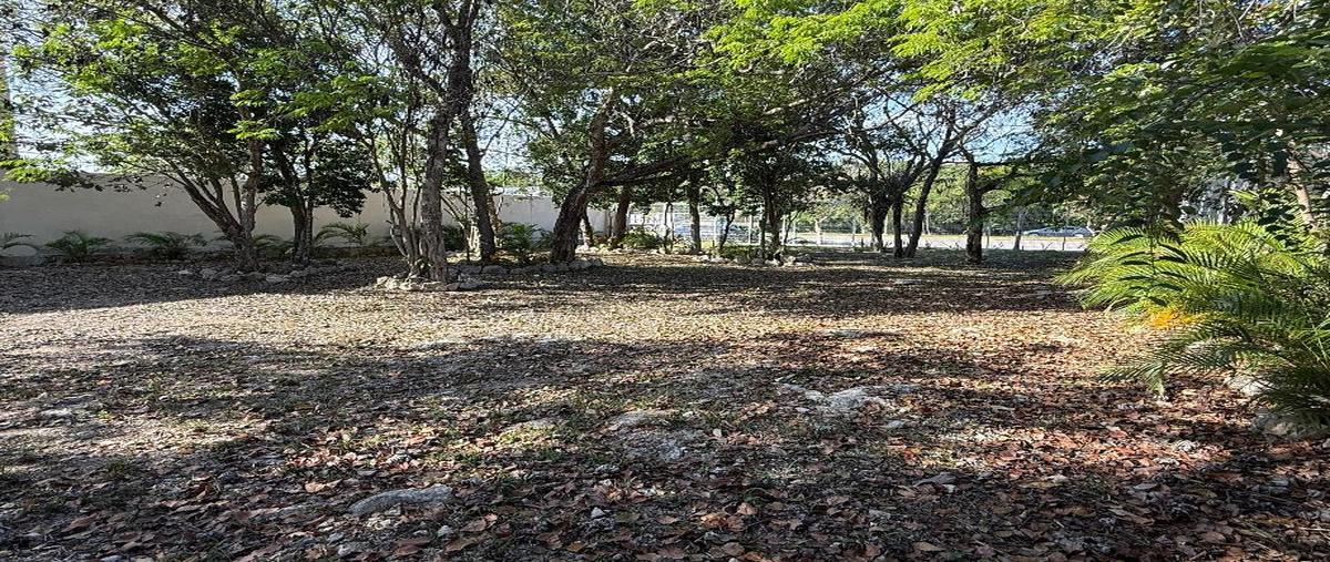 Foto de terreno habitacional en venta en avenida universidades lote 022, playa del carmen centro, solidaridad, quintana roo, 0 No. 04