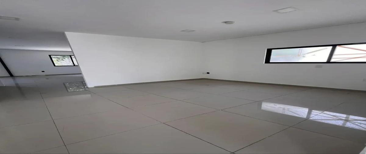 Foto de local en renta en avenida uxmal , cancún centro, benito juárez, quintana roo, 30586687 No. 05