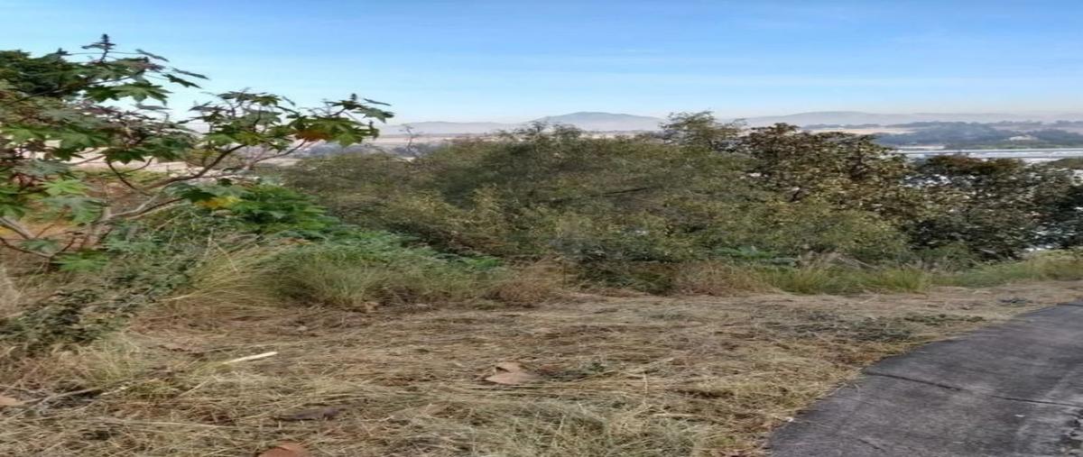 Foto de terreno industrial en venta en avenida vallarta , diana nature residencial, zapopan, jalisco, 30073615 No. 06