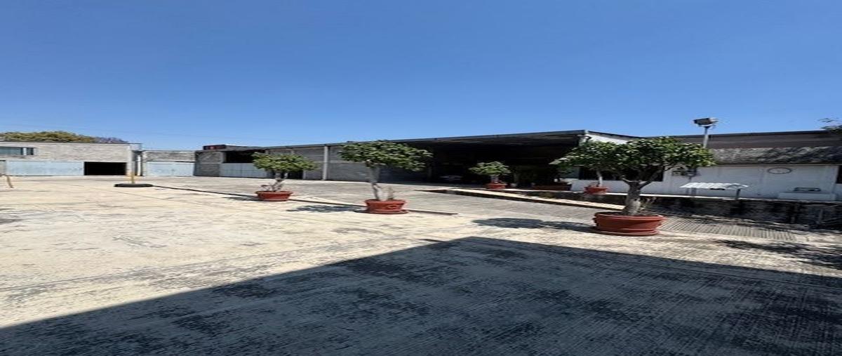 Foto de bodega en renta en avenida vasco de quiroga , santa fe, álvaro obregón, df / cdmx, 29455694 No. 05