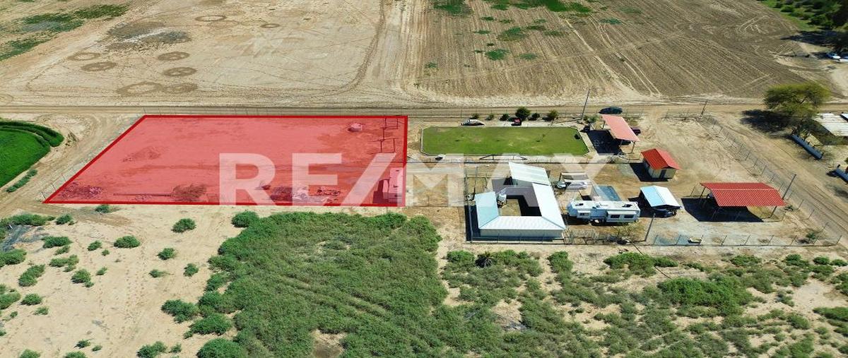 Foto de terreno habitacional en venta en avenida viveros , islas agrarias a, mexicali, baja california, 27831938 No. 03