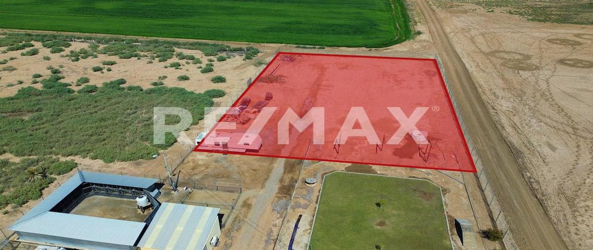 Foto de terreno habitacional en venta en avenida viveros , islas agrarias a, mexicali, baja california, 27831938 No. 04