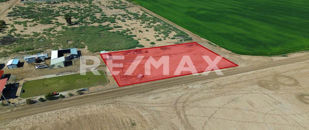 Foto de terreno habitacional en venta en avenida viveros , islas agrarias a, mexicali, baja california, 27831938 No. 05