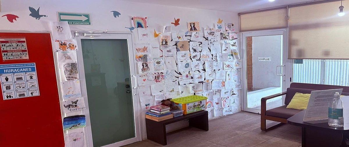 Foto de local en renta en avenida yucatán , jardines de mérida, mérida, yucatán, 0 No. 04