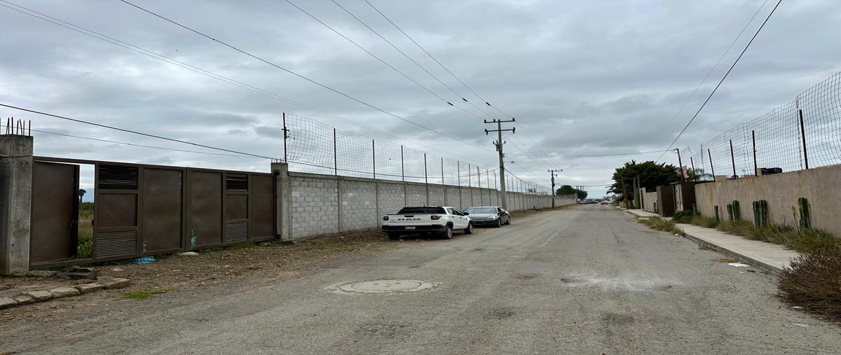 Foto de terreno habitacional en renta en  , aviación, actopan, hidalgo, 0 No. 04