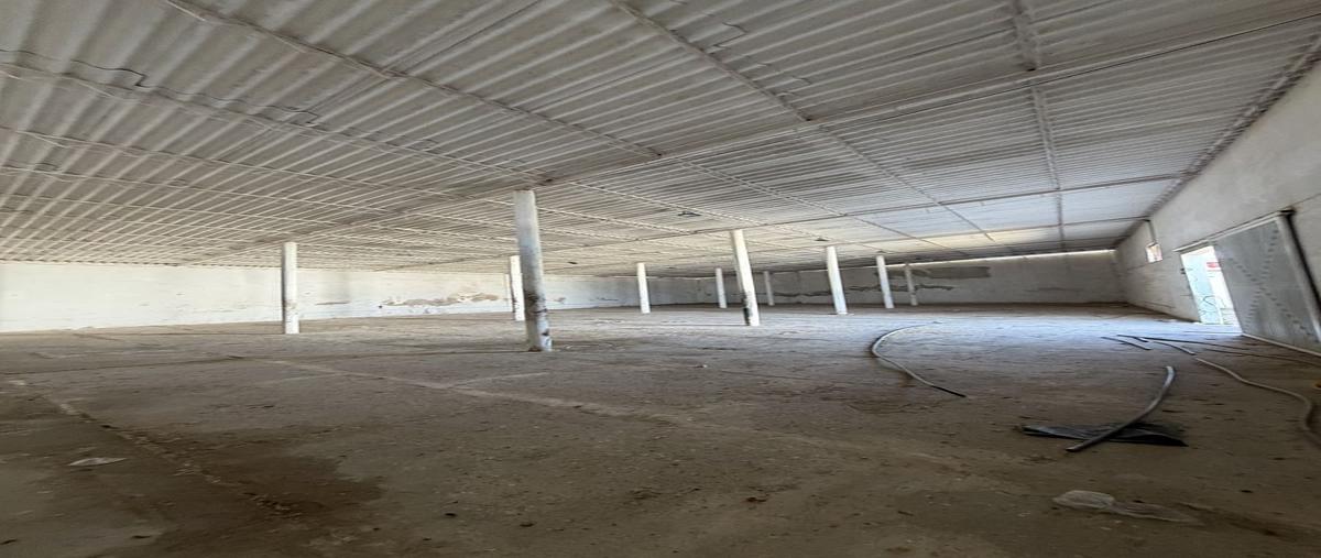 Foto de bodega en renta en aviacion , el carmelo, campeche, campeche, 30949823 No. 05