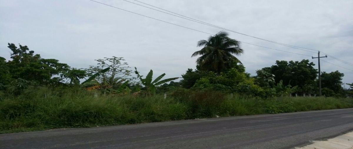 Foto de terreno habitacional en renta en  , aviación, las choapas, veracruz de ignacio de la llave, 22697806 No. 03