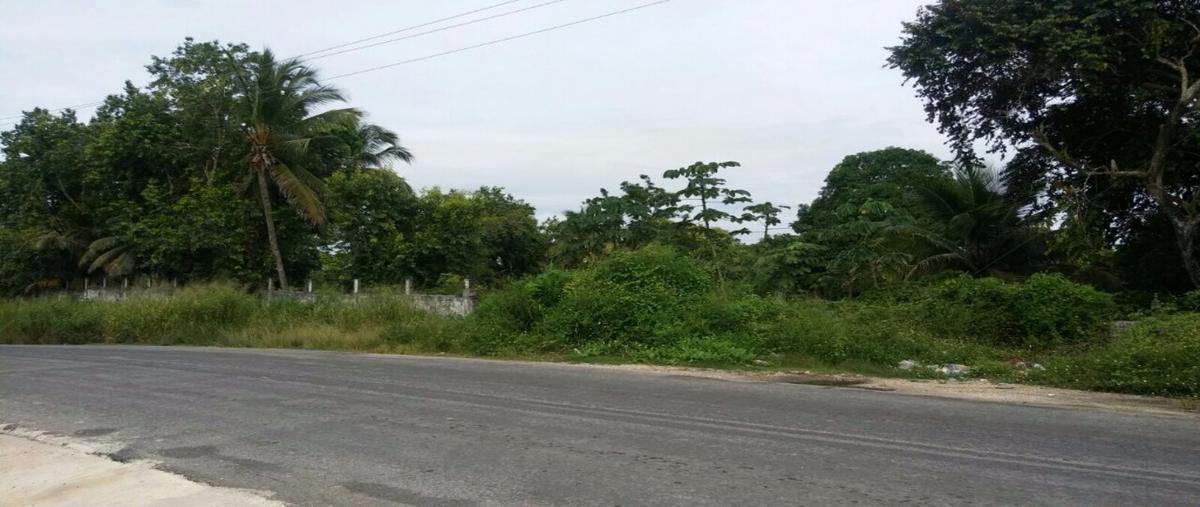 Foto de terreno habitacional en renta en  , aviación, las choapas, veracruz de ignacio de la llave, 22697806 No. 04