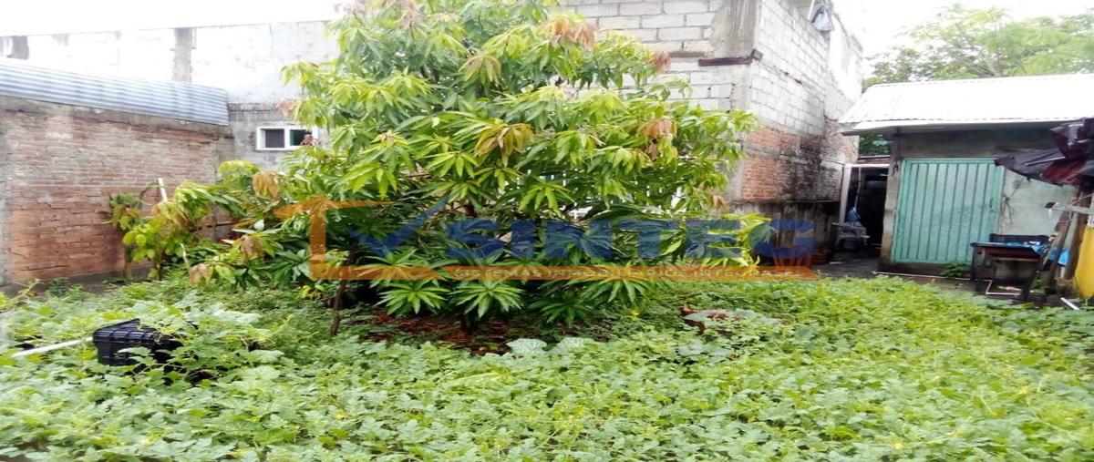 Foto de terreno habitacional en venta en  , aviación vieja, poza rica de hidalgo, veracruz de ignacio de la llave, 0 No. 04