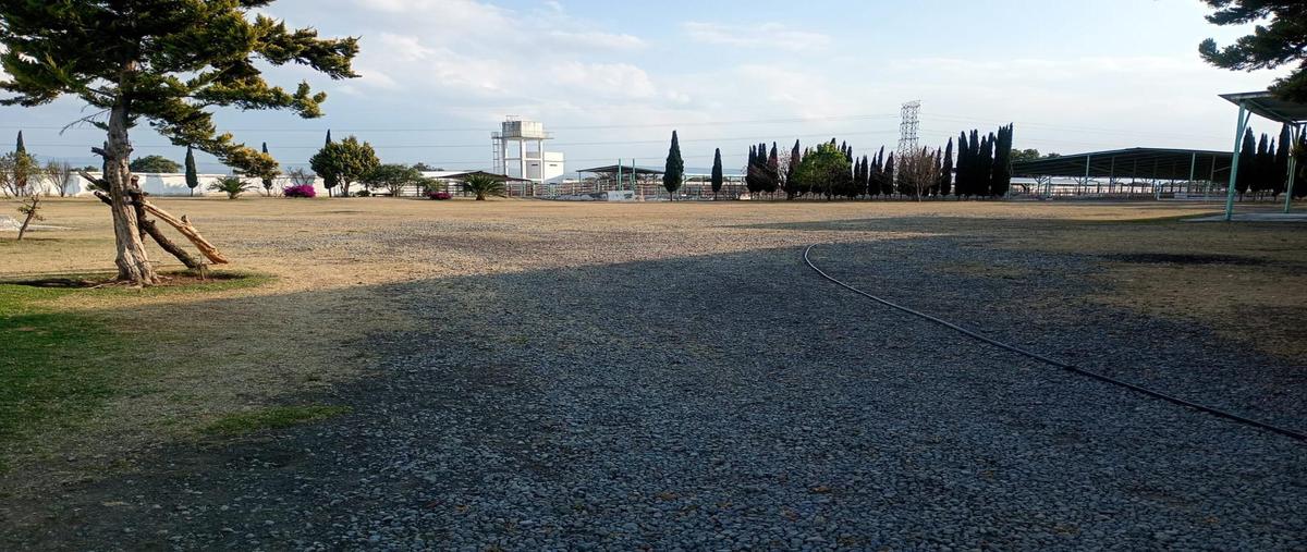 Foto de casa en venta en  , axapusco, axapusco, méxico, 30962310 No. 04