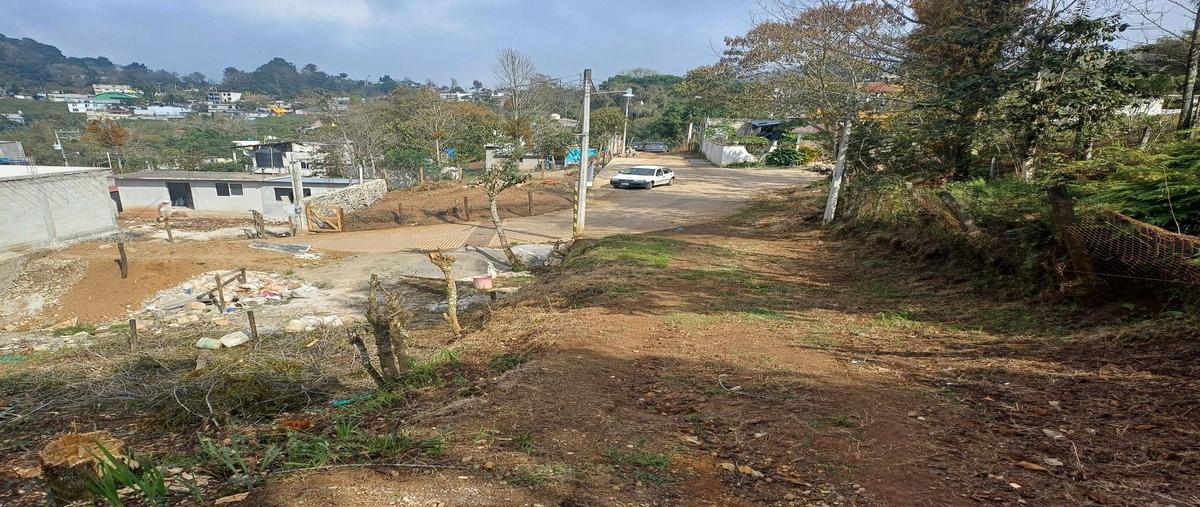 Foto de terreno habitacional en venta en axuluapan , huastequita, tlanchinol, hidalgo, 0 No. 04